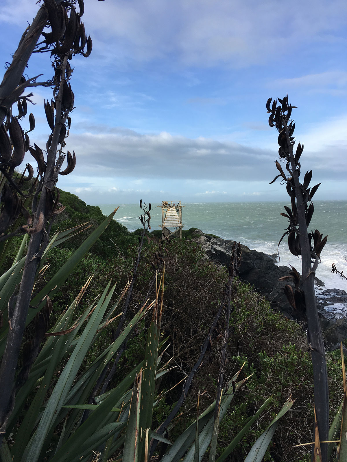 legal service invercargill